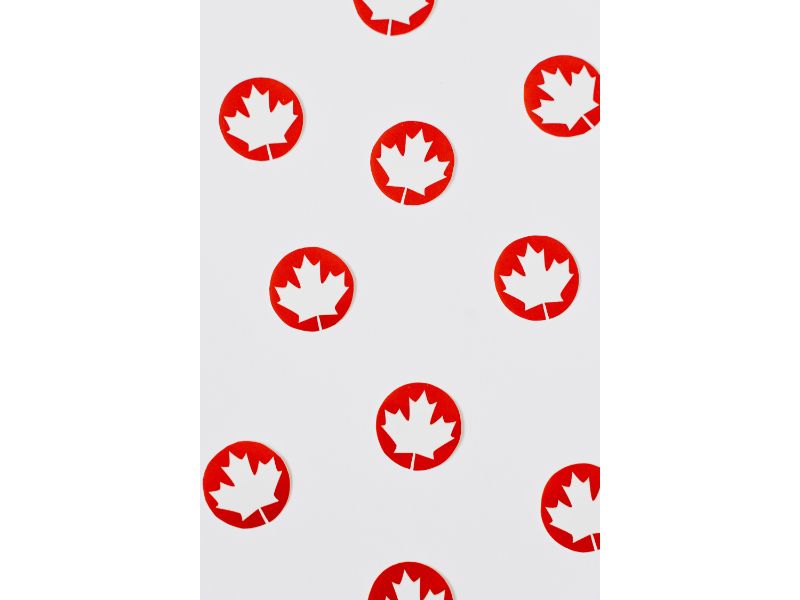instant payday loans canada flag